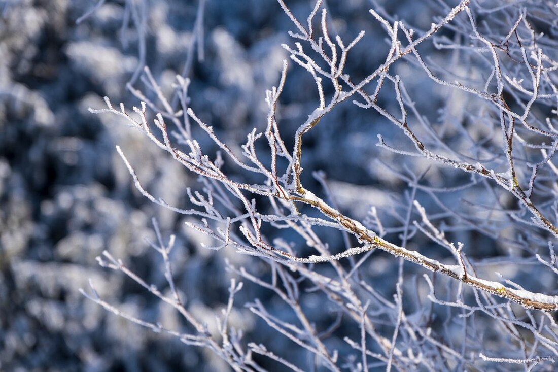 Erster Schnee und frostige Temperaturen in Baden-Württemberg: Wann wird es wieder wärmer? Wetterprognosen für die Region.