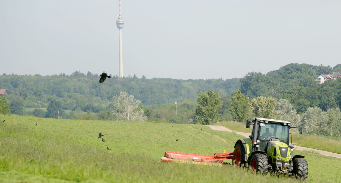 Titel: Klare Richtlinien für den Nachweis von Kennarten im extensiven Grünland: Landwirtschaftsministerium gibt Frist bis September 2024 Das Ministerium für Ernährung, Ländlichen Raum und Verbraucherschutz hat wichtige Hinweise zum Nachweis der Kennarten des extensiven Grünlandes veröffentlicht. Die betreffenden landwirtschaftlichen Antragsteller sind aufgefordert, bis zum 22. September 2024 die erforderlichen Nachweise über die App „profil (bw)“ einzureichen, um mögliche Nachteile zu vermeiden. Die Ankündigung betrifft insbesondere die Ökoregelungen ÖR5 und FAKT II B3.2, die für eine nachhaltige Bewirtschaftung und den Erhalt extensiver Grünlandflächen von Bedeutung sind. Antragstellende müssen nicht nur die spezifischen Kennarten nachweisen, sondern auch für „rote“ Fälle, die sich …