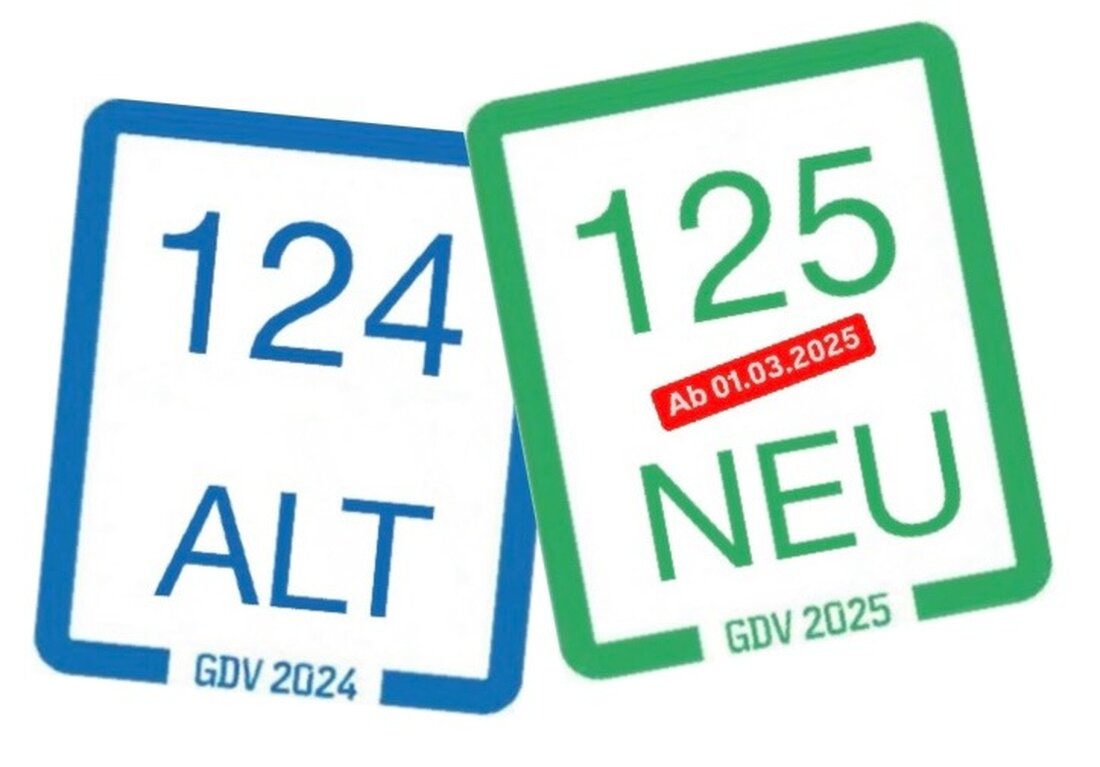 Zwei Fälle von Fahren ohne Versicherungsschutz in Simmern aufgedeckt. Ab 2025: Neues Versicherungskennzeichen erforderlich.