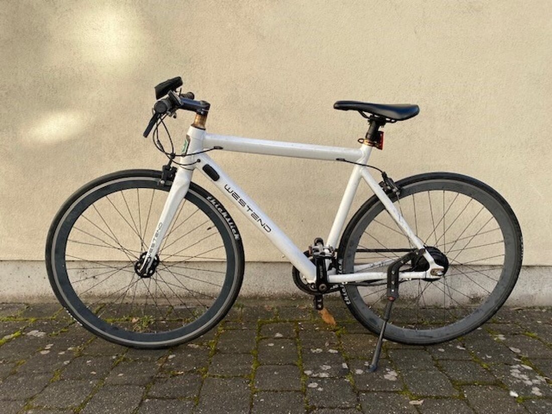 Im Jahr 2023 entdeckte die Polizei in Speyer ein gestohlenes Gravelbike. Der Eigentümer oder Zeugen werden zur Kontaktaufnahme aufgefordert.