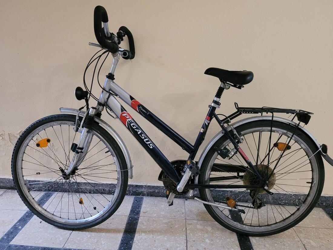 Die Polizei Stadthagen sucht den Eigentümer eines am 03.04.2025 in der Krumme Straße gefundenen Pegasus Damenrads.