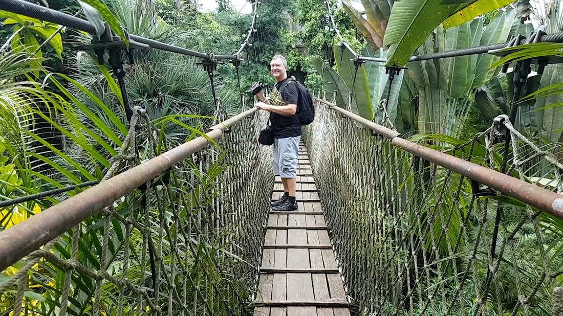 Mit 16.500 Quadratmetern ist die Tropenhalle Gondwanaland größer als zwei Fußballfelder und das Highlight des Leipziger Zoos. Rund 100 Tierarten und 17.000 tropische Pflanzen werden entlang von Dschungelpfaden und Hängebrücken bei Temperaturen von 24 bis 26 °C und einer Luftfeuchtigkeit von 65 bis 100 Prozent gezeigt. Bei einer Bootsfahrt auf dem Gamanil River begeben Sie sich zunächst auf eine Zeitreise durch die Entstehung des Superkontinents Gondwana und segeln dann durch die Wasserstraßen des Regenwaldes. . Youtube-Link