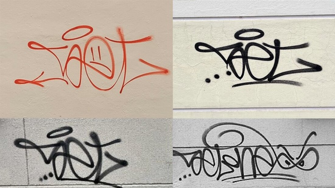 Unbekannte beschmierten in Münster mehrere Mauern mit Farbschmierereien. Die Polizei sucht Zeugen für die Taten.