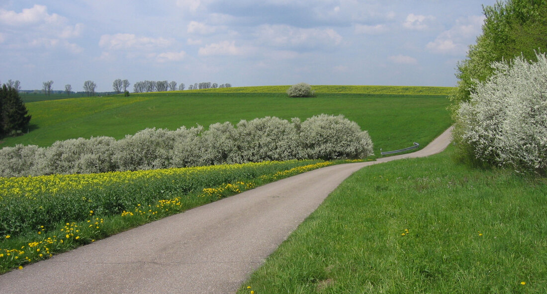 Die Landesregierung Baden-Württemberg investiert rund 715.000 Euro in die Modernisierung von ländlichen Wegen in Hildrizhausen und Altdorf. Diese Maßnahme dient dazu, die Ortsdurchfahrt zu entlasten und ein modernes Feldwegenetz zu schaffen. Die Fördermittel werden gezielt eingesetzt, um die landwirtschaftlichen Wege den heutigen Standards anzupassen und den Ansprüchen der Landwirtschaft gerecht zu werden. Staatssekretärin Sabine Kurtz betonte die Bedeutung der Flurneuordnung für die Stärkung der ländlichen Regionen. Durch die Modernisierung der ländlichen Wege wird nicht nur die Bewirtschaftung der umliegenden landwirtschaftlichen Flächen erleichtert, sondern es entstehen auch gut ausgebaute Hauptwirtschaftswege, die eine wichtige Erschließungsfunktion für die Region darstellen. Ein weiterer positiver …