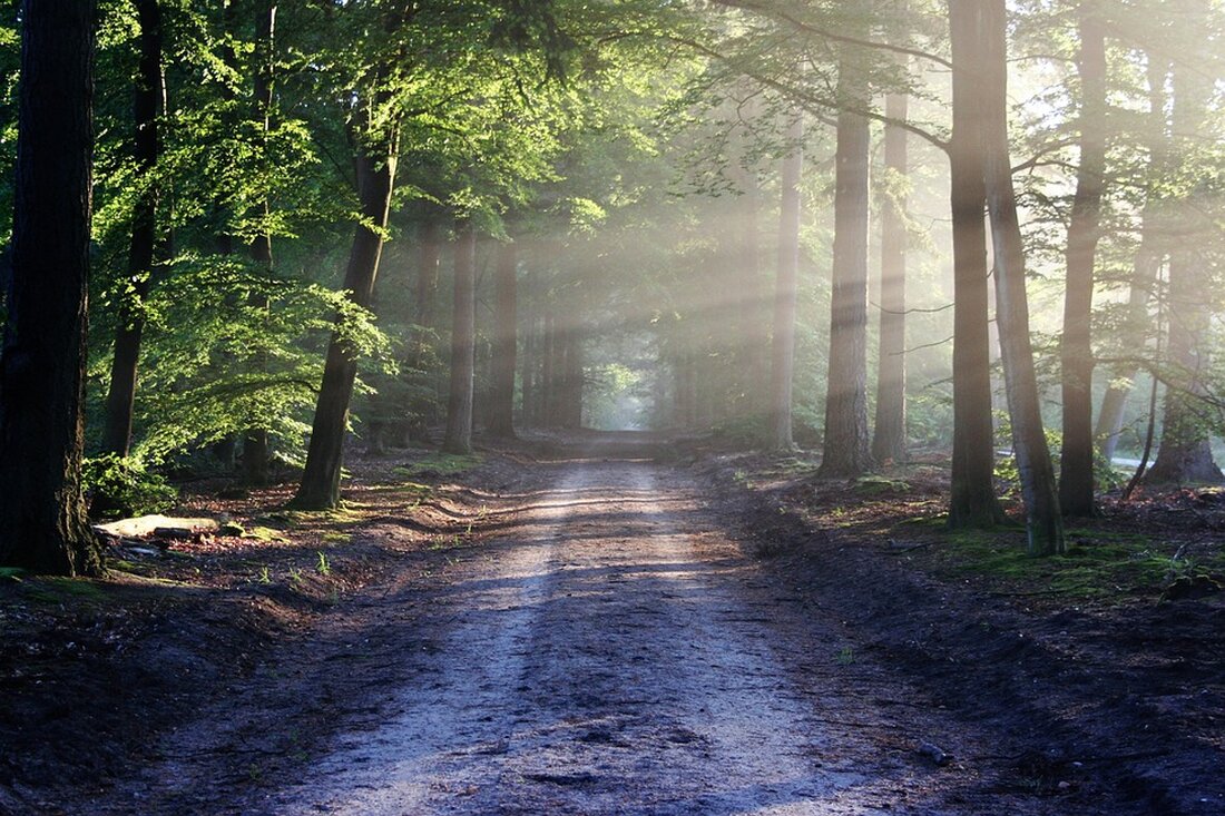Sola Leipzig im Wermsdorfer Wald bringt mehr als 4500 Euro gegen Sklaverei Das Sola Leipzig in Wermsdorf ist eine Erfolgsgeschichte: Kinder und Jugendliche wollten hier ganz konkret Geld für den Kampf gegen Sklaverei in Afrika sammeln und sind dafür viel gelaufen. Wermsdorf. Das Laufen hat sich gelohnt: Kinder und Jugendliche des Sommerlagers Leipzig – kurz Sola –, die in den vergangenen beiden Wochen in Wermsdorf waren, haben bei zwei Spendenläufen insgesamt 4524 Euro gesammelt. Das Geld geht an das Leipziger Büro der Menschenrechtsorganisation International Justice Mission für deren Kampf gegen Sklaverei. In diesem Jahr drehte sich das Sommerlager thematisch um …