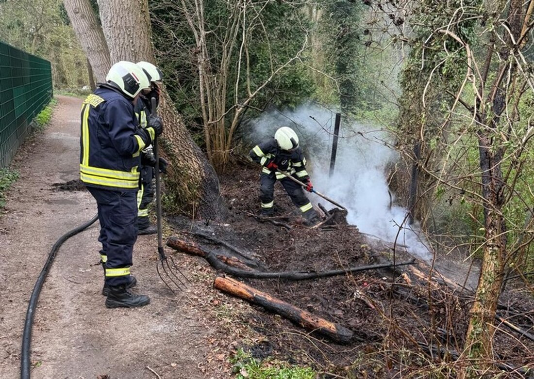 Feuerwehr Sandhorst bekämpfte einen Flächenbrand am Waldesrand. Schnelle Maßnahmen verhinderten die Ausbreitung der Flammen.