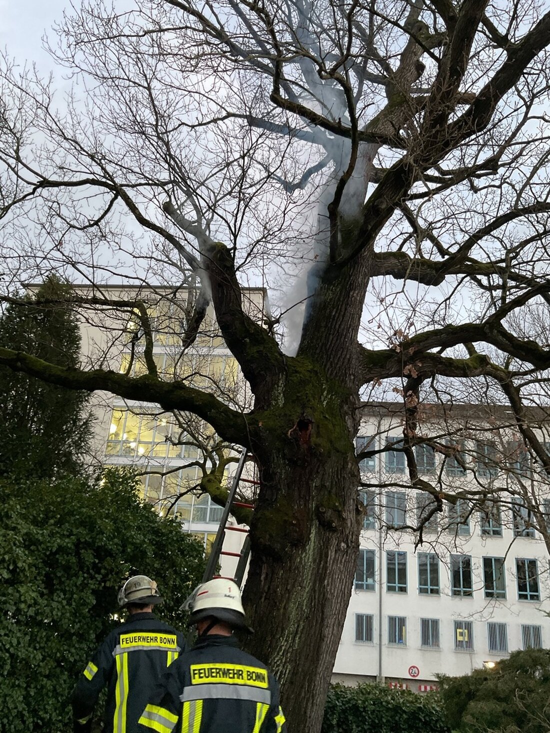 Am Samstagnachmittag wurde die Bonner Feuerwehr zu einem Baumbrand am Ernst-Moritz-Arndt-Haus gerufen. Schnelles Eingreifen erforderte spezielle Löschtechniken.