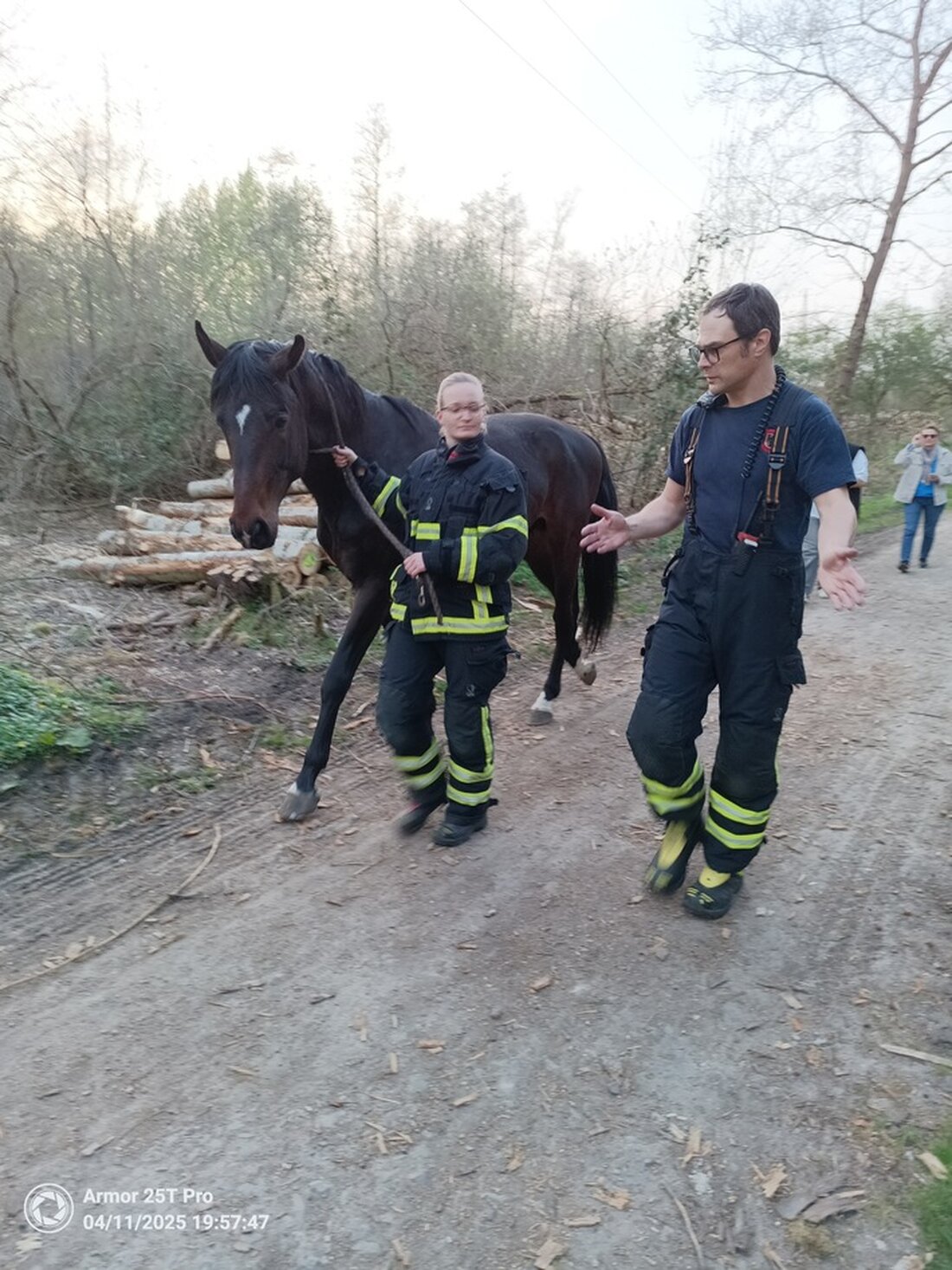 Die Feuerwehr Dortmund rettete ein entlaufenes Pferd in Kirchlinde, sicherte es mit einem Halfters und brachte es in einen Stall.