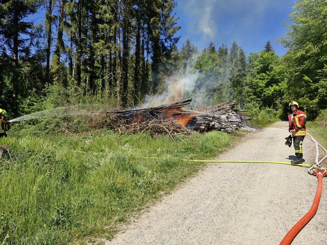 Am Maifeiertag 2025 löschten die Feuerwehren Reichenau und Konstanz einen Großbrand im Reichenauer Wald, der durch einen brennenden Holzpolder verursacht wurde.