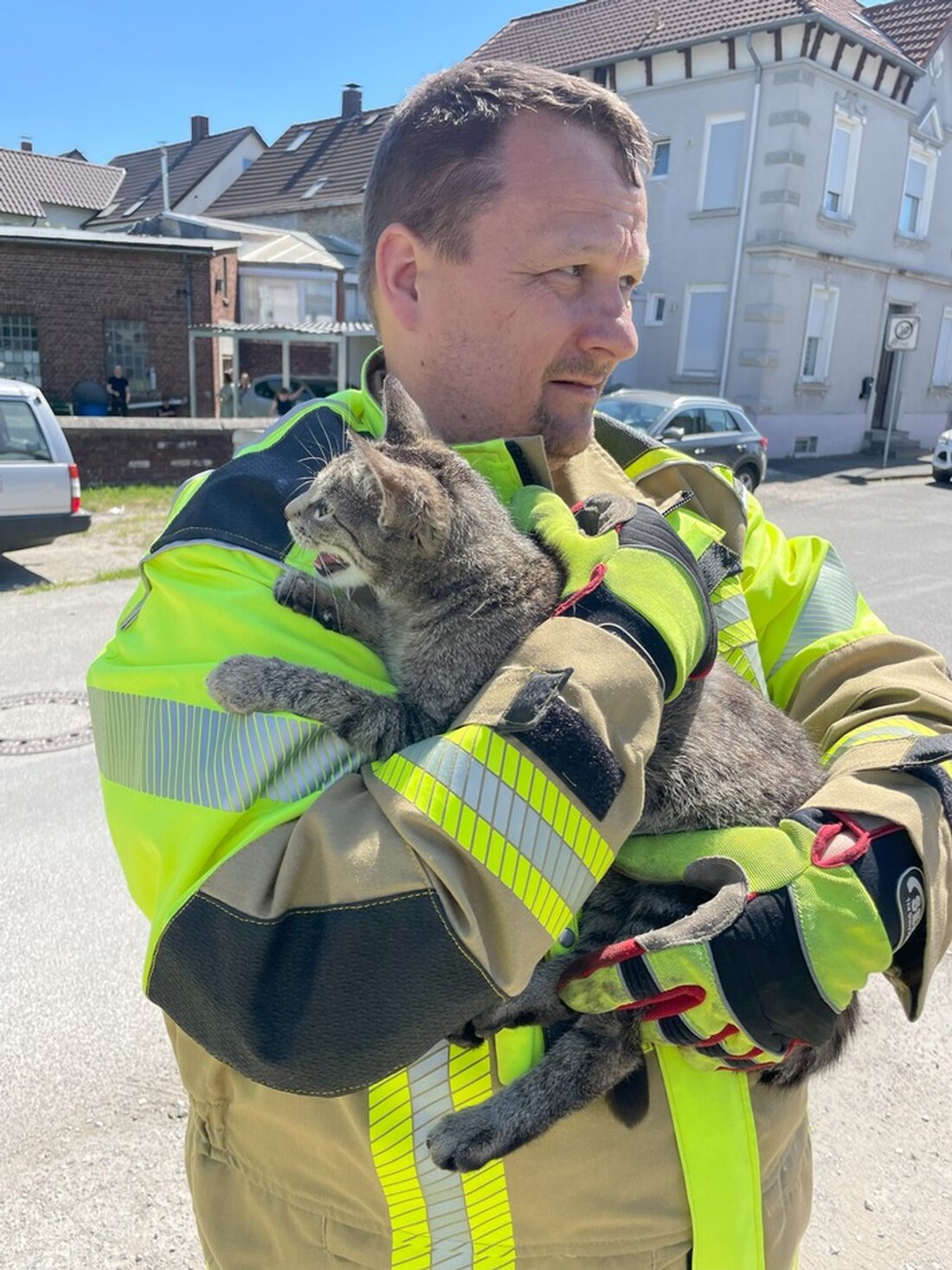 Freiwillige Feuerwehr Lage rettete am 10.05.2025 eine Katze aus einem gekippten Fenster. Glücklicherweise unverletzt.