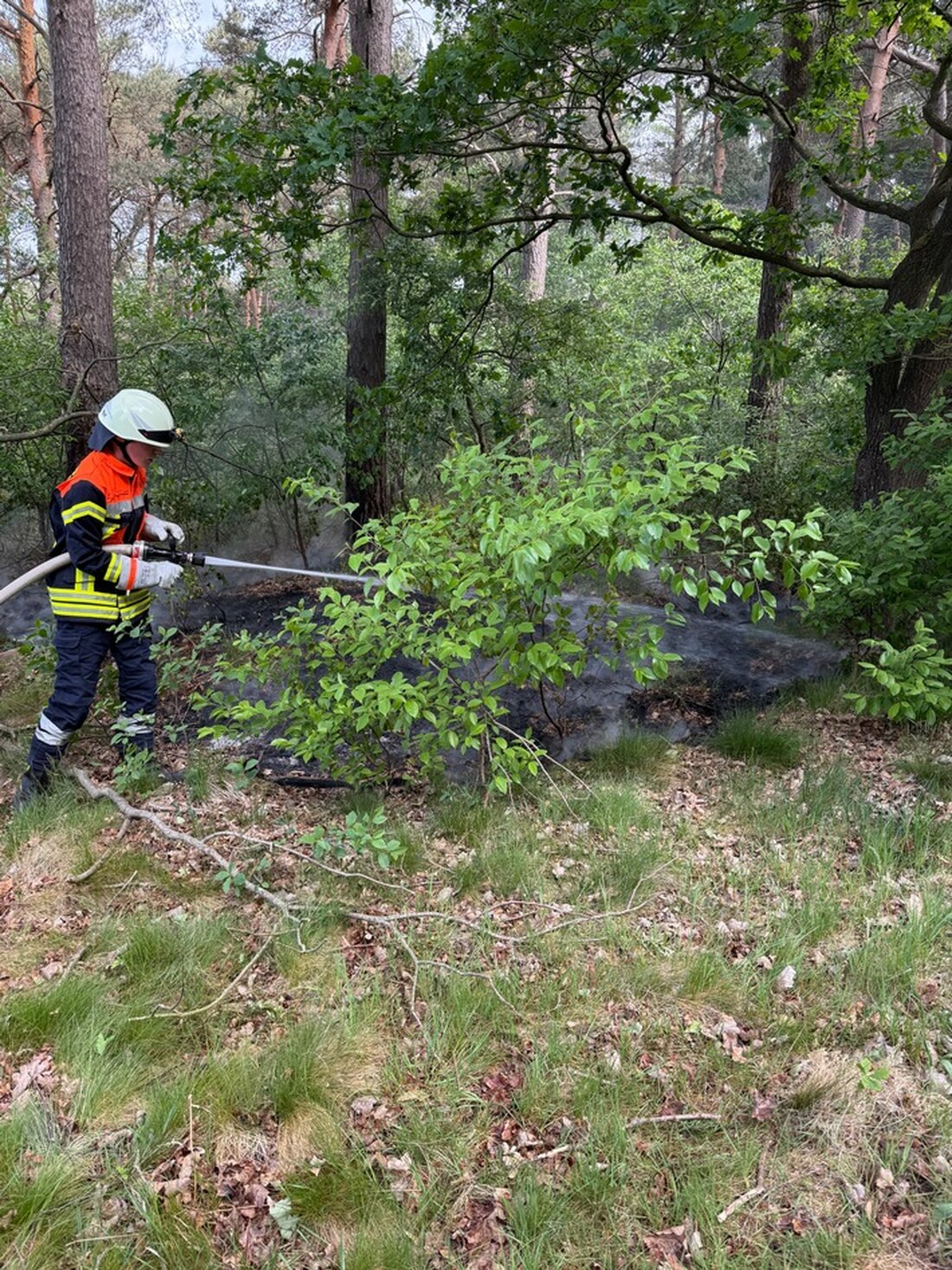 Feuerwehr Rüspel-Volkensen-Nindorf löscht Flächenbrand im Wald. 10m² brennender Waldboden nach Feuerwerkskörpereinsatz gesichert.