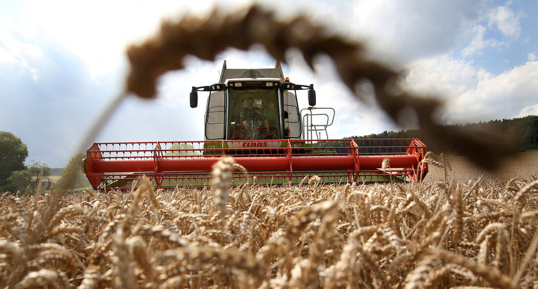 Das Land hat den ersten Bericht über den Einsatz synthetischer chemischer Pestizide vorgelegt. Pflanzenschutz erfordert ein hohes Maß an Fachwissen, das Landwirte täglich unter Beweis stellen. „Baden-Württemberg hat erstmals einen Bericht über den Einsatz chemisch-synthetischer Pflanzenschutzmittel im Land vorgelegt. Im Rahmen des Biodiversitätsstärkungsgesetz ist das Ziel der Landesregierung, die Anträge bis 2030 um 40 bis 50 Prozent zu reduzieren. Dazu definieren wir einen Ausgangspunkt bzw. eine „Baseline“, anhand derer wir sehen können, wie sich die Anträge über einen längeren Zeitraum entwickeln der Zeit “, sagte Minister Peter Hauk anlässlich der Vorstellung des ersten Berichts zur Reduzierung von Pflanzenschutzmitteln in Baden-Württemberg. …