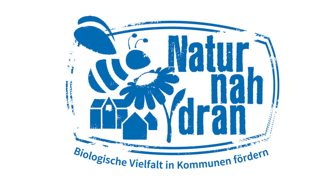 Das Projekt „Naturnah“ unterstützt Kommunen dabei, Grünflächen naturnah neu zu gestalten. Bis Ende des Jahres laden der Naturschutzbund Baden-Württemberg und das Land Sie ein, mit einer erfolgreichen Bewerbung Platz für Wildbienen und Schmetterlinge zu schaffen. Neue Lebensräume für Steinhummeln, Stieglitz und Schachbrettfalter: Das schaffen die Kommunen des Landes mit Wildpflanzen im Projekt „Nahe zur Natur“. Städte und Gemeinden haben jetzt wieder die Chance, ihre Grünflächen mit Fördermitteln im Jahr 2022 insekten- und bienenfreundlich umzugestalten. Alle Gemeinden, die noch keine Chance in dem Projekt hatten, erhalten in diesen Tagen eine Einladung, sich bis zum 31. Dezember 2021 für die Teilnahme zu …