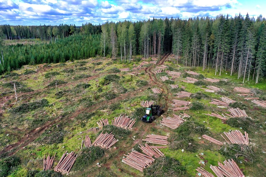 Feuerwehr Nahe Eilenburg: Forstmaschine brennt auf einem Feld bei Wöllnau Auf einem Feld bei Wöllnau ist am Freitag eine Forstmaschine in Brand geraten. Mehrere Feuerwehren waren im Einsatz, um das Feuer zu löschen. Die Rauchsäule war weithin sichtbar. Feuerwehreinsatz auf einem Feld in Wöllnau Am Freitagmittag wurde die Feuerwehr zu einem Einsatz auf einem Acker an der Dorfstraße in Wöllnau gerufen. Gegen 11.30 Uhr ging der Alarm ein, da eine Forstmaschine in Brand geraten war. Das Feuer war in voller Ausdehnung und verursachte eine dunkle Rauchwolke, die auch in der Region sichtbar war. Einsatzkräfte vor Ort Die Feuerwehren aus Doberschütz, …