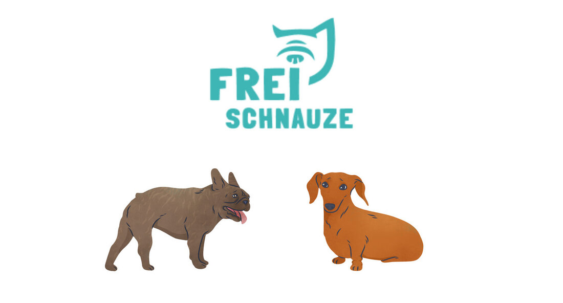 In Baden-Württemberg wurde eine neue Aufklärungskampagne mit dem Titel „Frei Schnauze – Erkenne Qualzucht“ ins Leben gerufen. Die Stabsstelle der Landestierschutzbeauftragten hat das Ziel, die Bevölkerung über die Problematik der Qualzucht bei Haustieren aufzuklären und damit das Leiden und die Gesundheitsrisiken für Tiere zu minimieren. Die Kampagne richtet sich vor allem an Tierhalterinnen und Tierfreunde, die sich bewusst für die Gesundheit und das Wohlbefinden ihrer Haustiere einsetzen wollen. Denn oft geraten diese wichtigen Aspekte in den Hintergrund, wenn es um das Aussehen der Tiere nach menschlichen Vorlieben geht. Dabei können zuchtbedingte Risiken wie Atemnot, Bandscheibenvorfälle, Taubheit, Hautprobleme und neurologische Störungen …