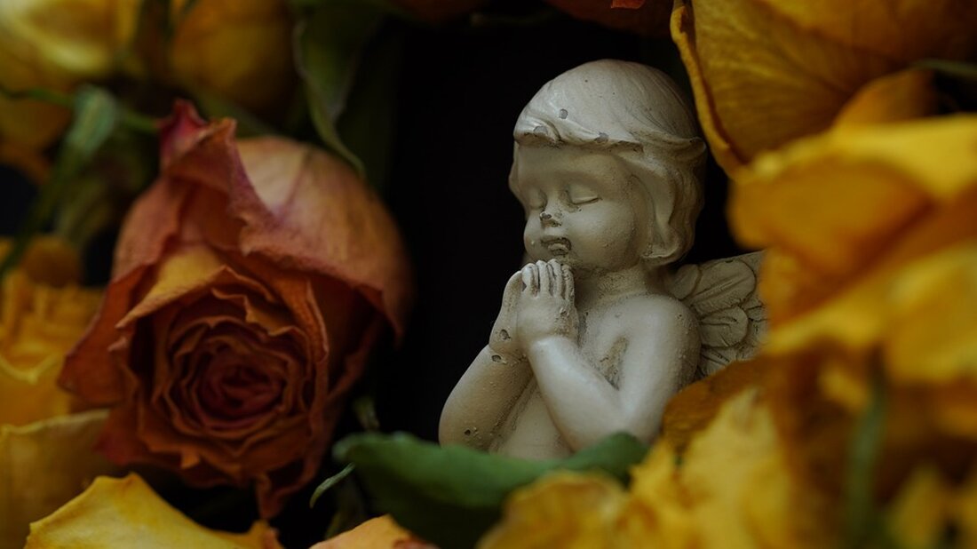 Entdecken Sie, wie der Friedhof Baumschulenweg mit einem multifunktionalen Wildbienenhabitat und Schafsherden zur Biodiversität beiträgt. Erfahren Sie mehr über die ökologische Umnutzung stillgelegter Friedhofsflächen in Berlin und die Initiative des Bezirksamts Treptow-Köpenick zur Förderung des Klimaschutzes.
