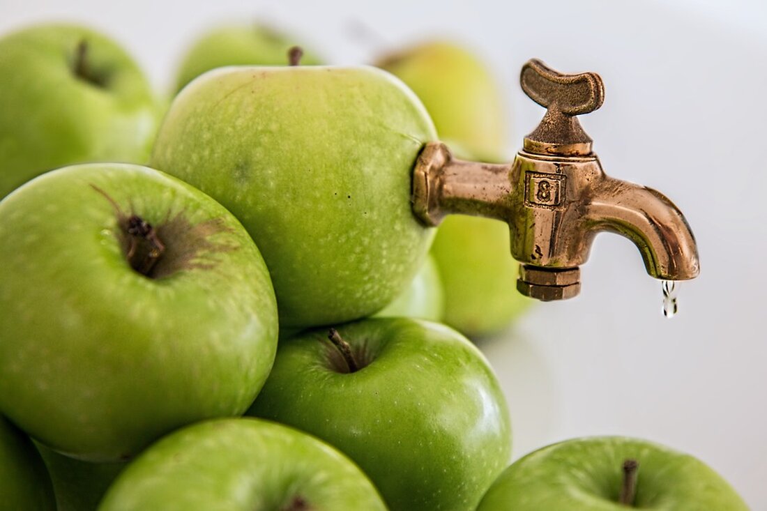 Die Ernte von den Obstwiesen des Kohrener Landes ist versaftet: Ab November gibt es in Geithain wieder ein besonderes Naturprodukt: naturtrüben Apfelsaft. Apfelsaft aus frischer Ernte gibt es in der Geithainer Marktschwärmerei Frohburg/Geithain. Vor allem Äpfel, aber auch einige Birnen ernteten Mitglieder und Helfer der Grünen Liga auf Streuobstwiesen im Kohrener Land. In Sahlis, Wickershain und Narsdorf kamen so 5,5 Tonnen Früchte zusammen. Sie bilden die Grundlage für den naturtrüben Kohrener Apfelsaft, den die Kelterei Schauß in Seebenisch (Stadt Markranstädt) herstellt. Ab Anfang November ist der Saft, inzwischen auf Flaschen gezogen, in Geithain und Leipzig zu haben. Das Obst der …