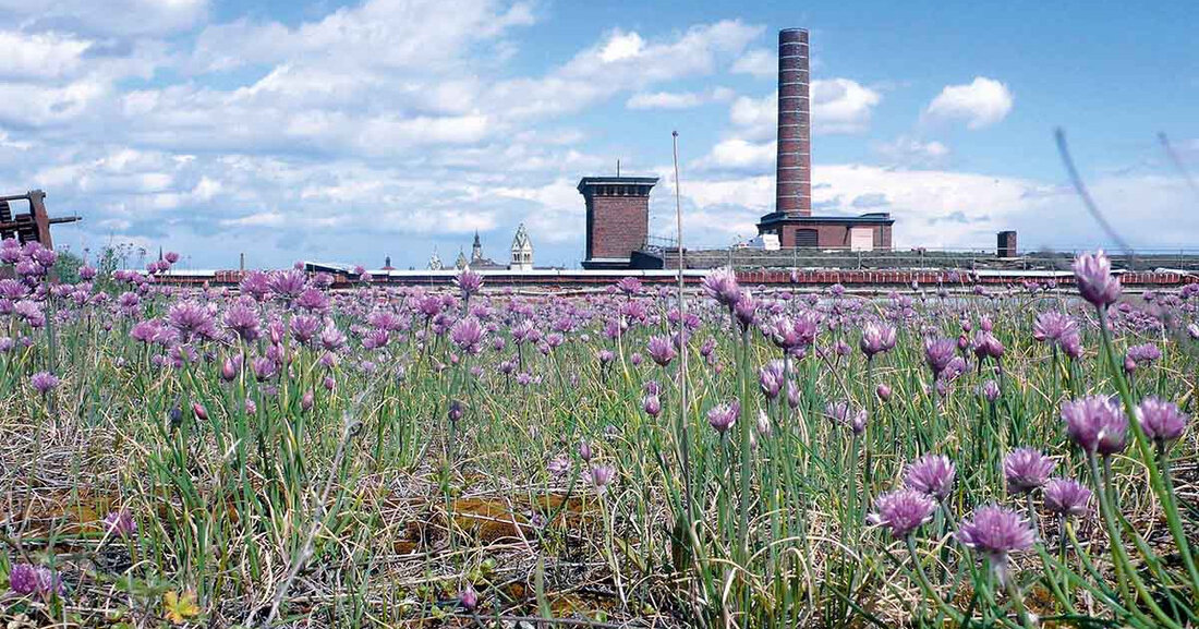 Frühjahrsrundgang 2023 in den Spinnereigalerien Am 29. und 30. April 2023 eröffnen die Spinnereigalerien mit dem traditionellen Frühlingsrundgang ihre Türen für Besucherinnen und Besucher. Halle 14 der Baumwollspinnerei © Bertram Schultze &#8222;Zeit für Kunst&#8220; heißt es am Wochenende in der Baumwollspinnerei. Der alljährliche Frühlingsrundgang führt Kunstbegeisterte durch die Galerien und Ausstellungsräume. Neue Malereien, Fotografien, Plastiken und Videos zahlreicher Künsterlinnen und Künstler können in der ehemaligen Fabrikstadt besichtigt werden. Eine Anmeldung zum Rundgang ist nicht notwendig. Wann Samstag, 29. April 2023, von 11 bis 19 Uhr Sonntag, 30. April 2023, von 11 bis 16 Uhr Wo Leipziger Baumwollspinnerei Spinnereistraße 7 04179 &hellip;