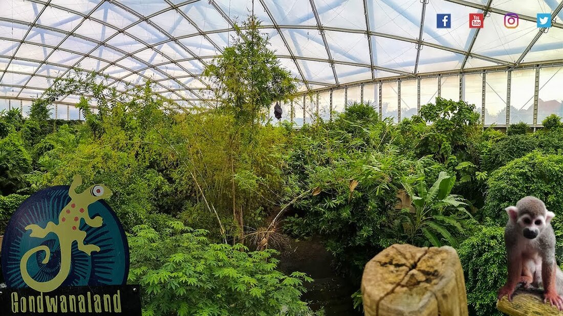 Tour durch Gondwanaland im Leipziger Zoo Abonnieren: https://www.youtube.com/channel/UCjda-O3NcgMJT0upn0JoaiA Besuchen Sie mich auf: Instagram – https://www.instagram.com/jurapix Facebook – https: //www.facebook . com / Neumarkt Twitter – https://twitter.com/jurapix Musik: TheFatRat: http://twitter.com/ThisIsTheFatRat http://soundcloud.com/thefatrat http://www.facebook.com/thisisthefatrat Musik von Soundcloud Musik von RFM: https://youtu.be/Du7XuyUEVNA. Youtube-Link