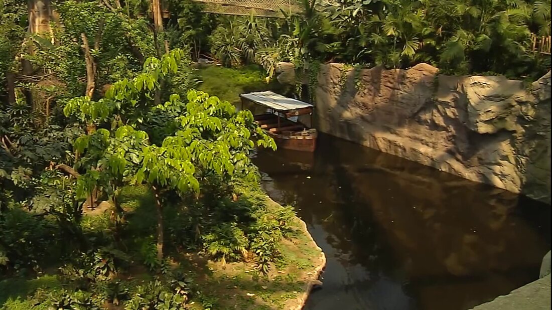 In der tropischen Abenteuerwelt GONDWANALAND im Leipziger Zoo können sich Besucher auf ein einzigartiges Regenwald-Erlebnis ab dem 1. Juli 2011 auf einer Fläche von 16.500 Quadratmetern freuen. In Gondwanaland leben rund 300 Tiere, darunter Deutschlands einziger Komodo-Drache und der vom Aussterben bedrohte Sunda-Gavial. Es gibt insgesamt 40 Tierarten aus Asien, Afrika und Südamerika. Rund 17.600 verschiedene tropische Pflanzen (über 500 Pflanzenarten) können bewundert werden. In einem tropischen Gemüsegarten werden 60 Arten tropischer Früchte und Gewürze angebaut, darunter Ananas, Bananen, Guave, Kakao, Pfeffer und Zuckerrohr. Die Flora und Fauna kann auf abenteuerlichen Pfaden entdeckt werden, einige mit Blick auf Unterwasser, einige …