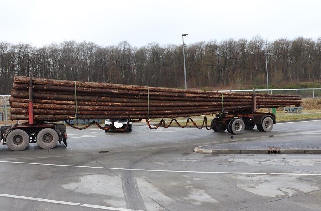 Beamte der Schwerlastkontrollgruppe Trier stellten bei Kontrollen Überladungen fest: Holztransport um 15 Tonnen schwer, Sattelzug zu lang. Bußgeldverfahren eingeleitet.