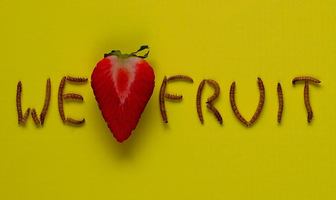 Gegen Lebensmittelverschwendung Vitamin-Retter-Boxen sind nicht nur in Bad Düben und Delitzsch gefragt Aus einer privaten Idee hat Jonas Lein ein Projekt entwickelt gegen die Verschwendung von Obst und Gemüse. Die Vitamin-Retter-Box gibt es in unter anderem in Delitzsch, Bad Düben und Leipzig – sie soll auch in anderen Städten etabliert werden. Bad Düben. Jeden Donnerstag und Freitag bilden sich im Blumengeschäft von Steffi Noack am Bad Dübener Paradeplatz lange Schlangen. Dann holen sich die Kurstädter ihre vorbestellte kleine oder große Box mit Gurken, Salat, Äpfeln, Birnen und Co. ab – Obst und Gemüse, das aufgrund von Überproduktion, Logistikfehlern oder Ernteüberschüssen …