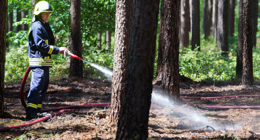 Das Projekt „Waldbrand-Klima-Resilienz” in der Modellregion Hardtwald neigt sich dem Ende zu. Um die dort gewonnenen Erkenntnisse weiter zu vertiefen, wird die Geschäftsstelle Plattform Waldbrand eingerichtet. Sie unterstützt als Teil der Waldstrategie die Akteure im Land beim Aufbau eines modernen Waldbrandmanagements. „Die Folgen des Klimawandels erfordern es, dass wir unser Krisenmanagement neu ausrichten und es an den aktuellen Rahmenbedingen anpassen. Die Zunahme von Trockenperioden bedeutet leider auch eine Erhöhung des Risikos für die Entstehung von Waldbränden in Baden-Württemberg. Die Daten des Deutschen Wetterdienstes belegen, dass seit 1980 die Tage mit hohem Waldbrandrisiko stetig zunehmen. Seit Jahrzehnten entwickeln wir unsere Wälder …