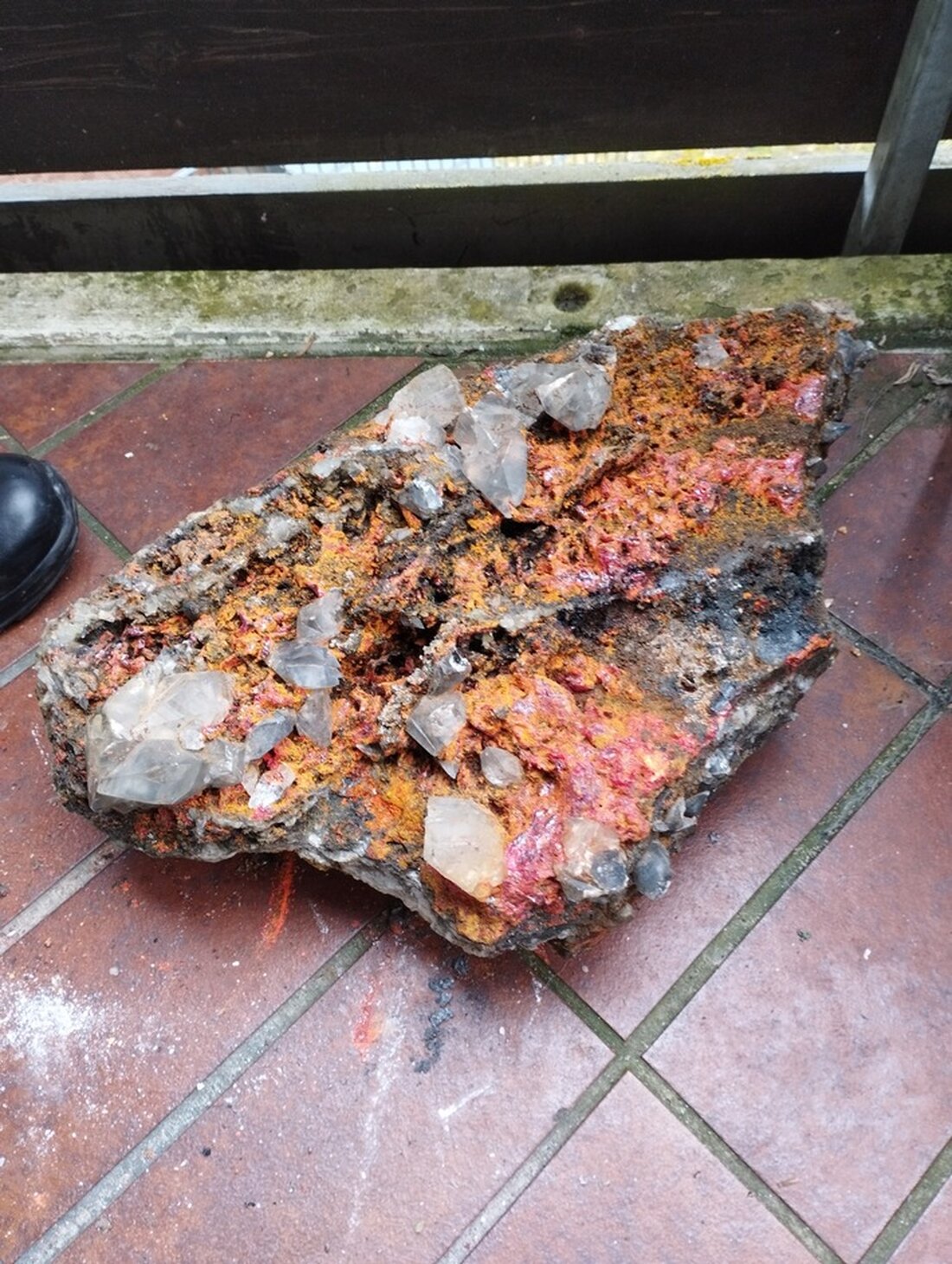 In Leonberg entdeckte die Polizei giftige Minerale in einem Waldstück. Ermittlungen wegen unerlaubtem Abfallumlauf laufen.