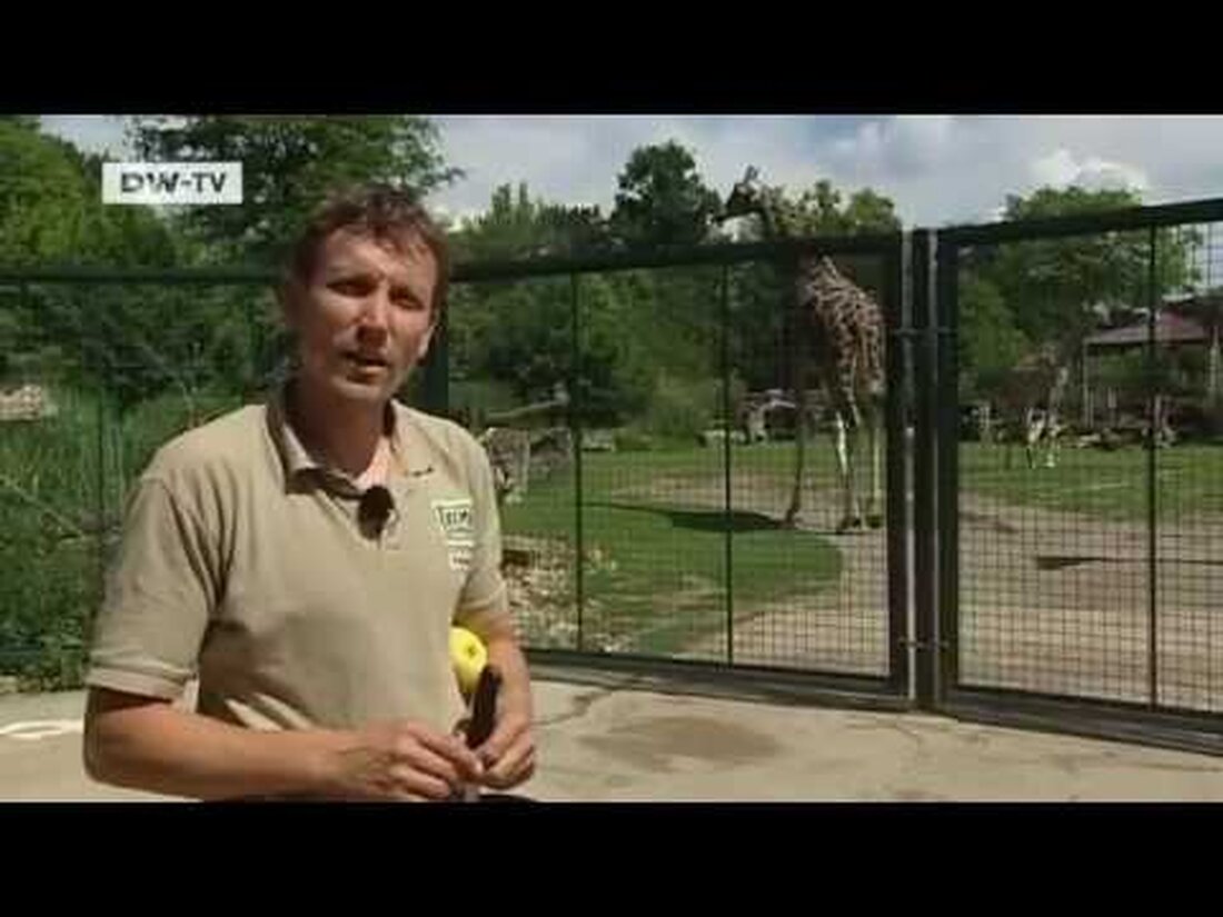 Zur Globalisierung gehört für den 46-jährigen Tierpfleger auch ein vereintes Europa. Für die Zukunft wünscht er sich weniger Unterschiede zwischen reichen und armen Ländern. . Youtube-Link