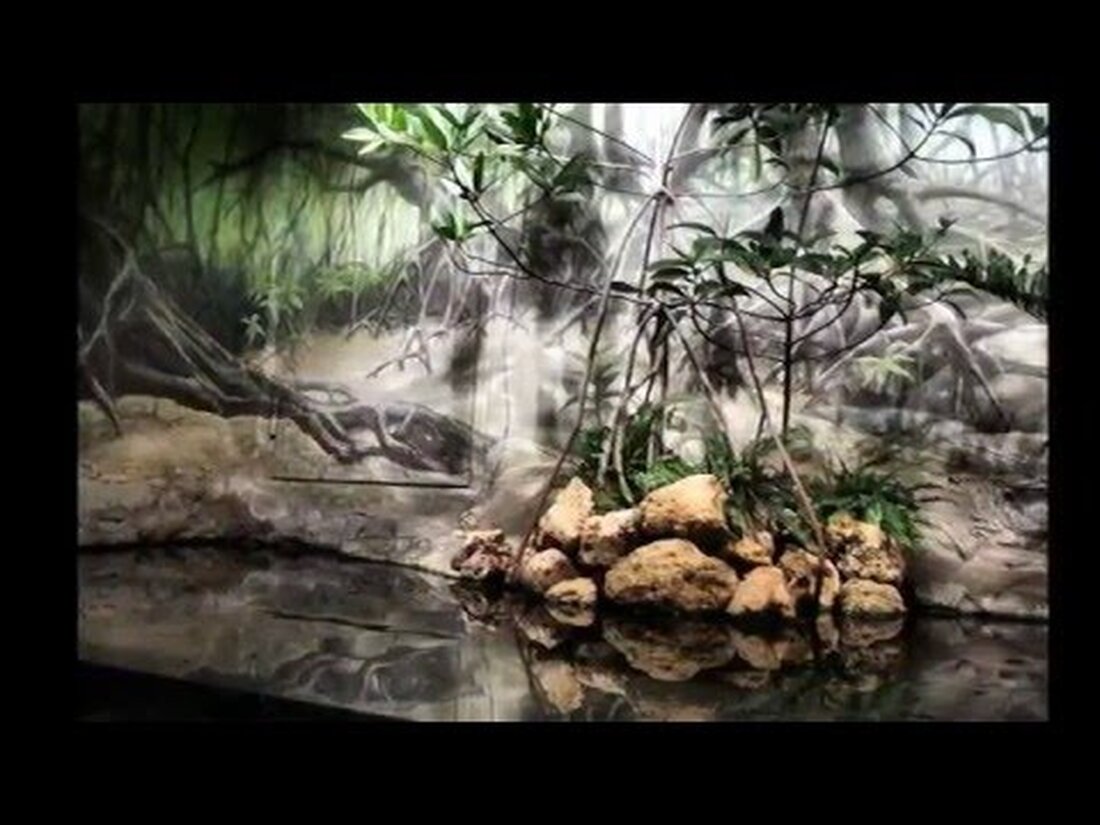 Ich habe endlich eine Jahreskarte für den Leipziger Zoo bekommen und hier sind meine ersten Eindrücke. Youtube-Link