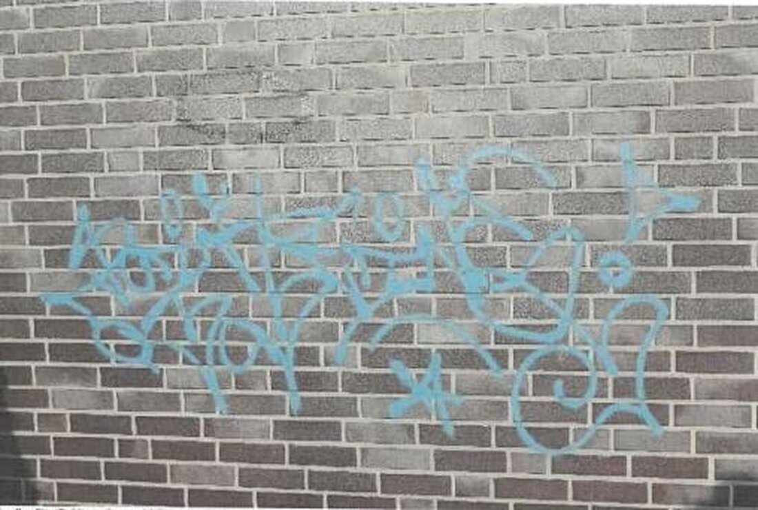Unbekannte Täter haben in Lingen Graffiti an einem Stromverteilerkasten und einer Hauswand angebracht. Die Polizei sucht Zeugen.
