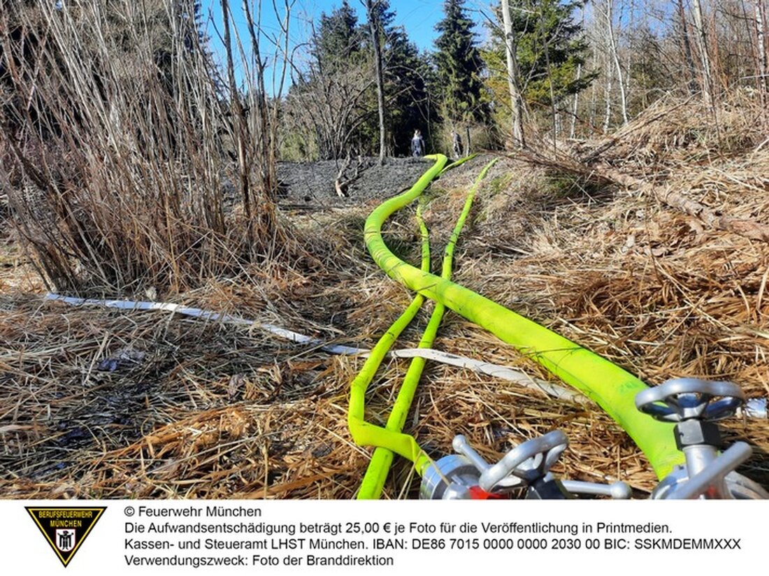 Am 8. März 2025 alarmierte die Feuerwehr München wegen eines Grasbrandes auf 1500 qm im Waldperlach. Schnelle Löschmaßnahmen getroffen.