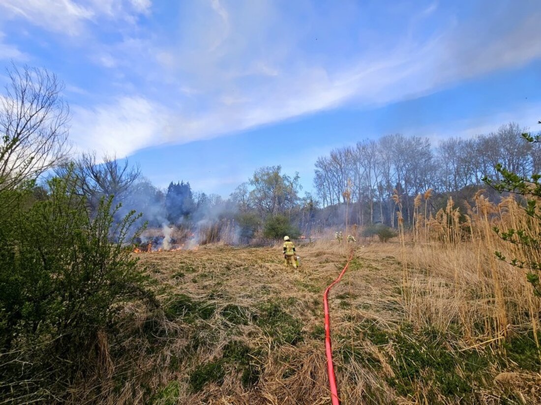 Feuerwehr Konstanz löscht am 12.04.2025 einen Vegetationsbrand in Wollmatingen. Einsatzkräfte erfolgreich vor Ort.