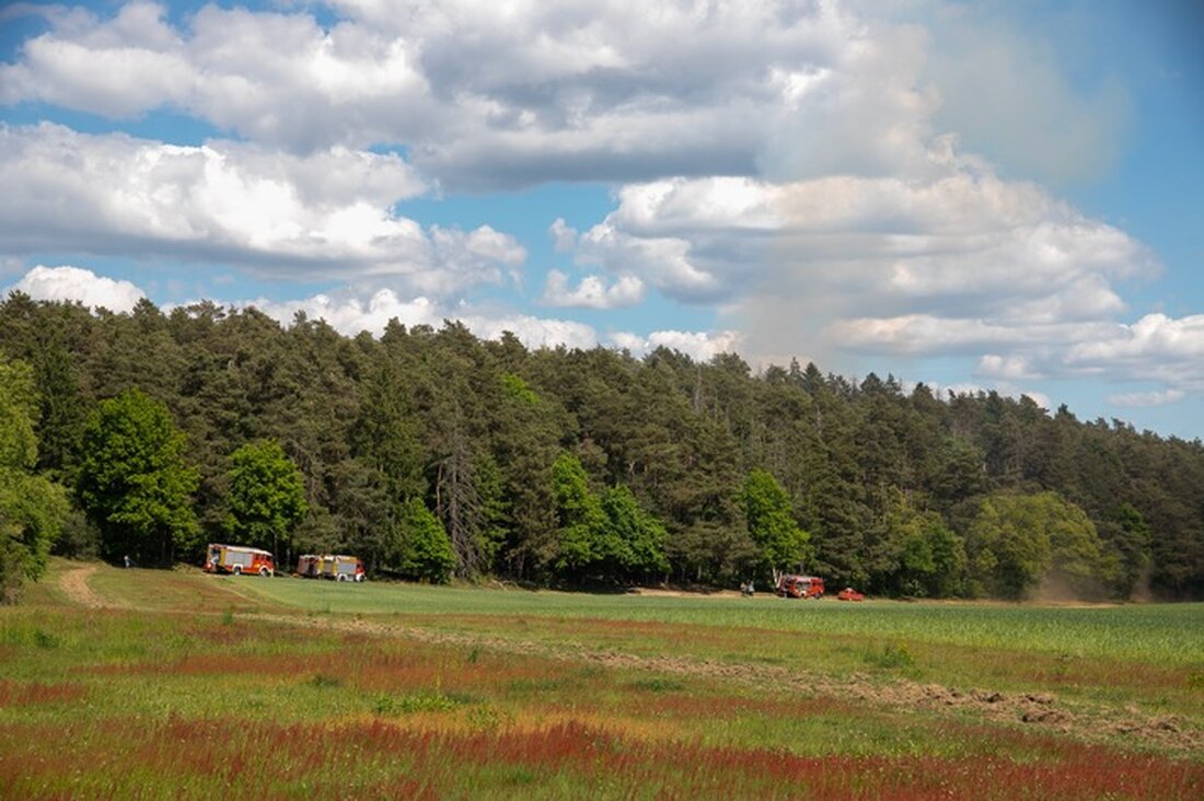Am 12. Mai kam es zu einem bedeutenden Waldbrand am Kleinen Hirschberg bei Neunkirchen-Kohlhof. Die Freiwillige Feuerwehr und weitere Einheiten verhinderten die Ausbreitung.