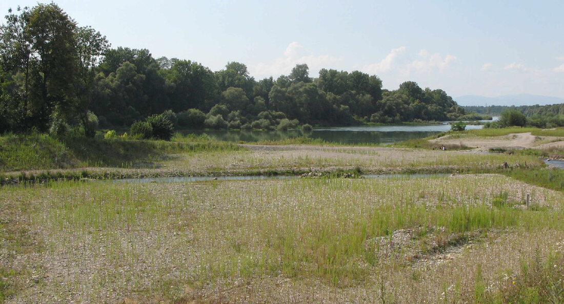 Das Land fördert den Bau des Hochwasserrückhaltebeckens Wolfental am Rotbach in Biberach an der Riß mit mehr als 2,36 Millionen Euro. Die Stadt Biberach nimmt sich den wichtigen Zukunftsaufgaben Hochwasserschutz und Starkregenmanagement konsequent an. Das Land fördert den Bau des Hochwasserrückhaltebeckens Wolfental am Rotbach mit 2.363.000 Euro – und damit der erste Baustein eines Gesamtkonzepts, mit dem sich die Stadt Biberach an der Riß künftig vor Hochwasser und Starkregen schützen will. „Wir begrüßen, dass die Stadt Biberach die wichtigen Zukunftsaufgaben Hochwasserschutz und Starkregenmanagement so konsequent angeht. Nach umfangreichen Untersuchungen soll nun ein ganzes Maßnahmenpaket umgesetzt werden. Das Land ist sich …