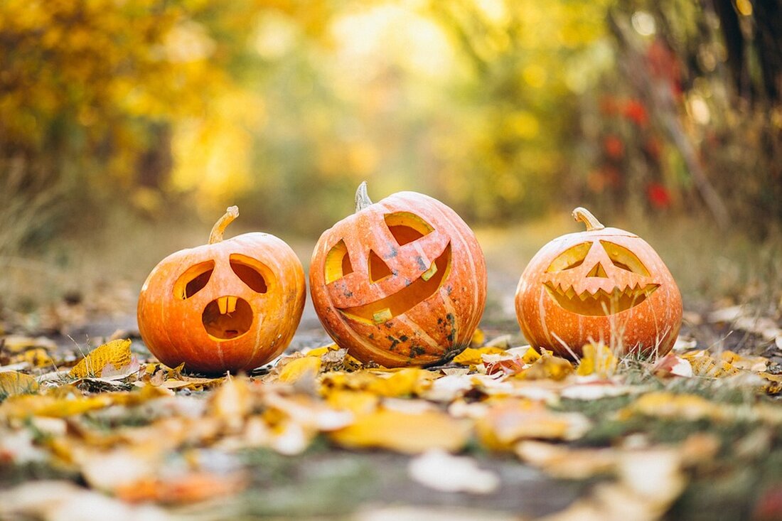 Erlebe ein schaurig schönes Halloween im Garten der Sinne in Berlin! Am 31. Oktober 2024 erwartet dich von 16:00 bis 19:00 Uhr ein unvergessliches Fest mit Geistern, Hexen und aufregenden Spielen für Groß und Klein. Entdecke das Gruselzelt, genieße Stockbrot und tauche ein in eine fesselnde Atmosphäre. Sei dabei!