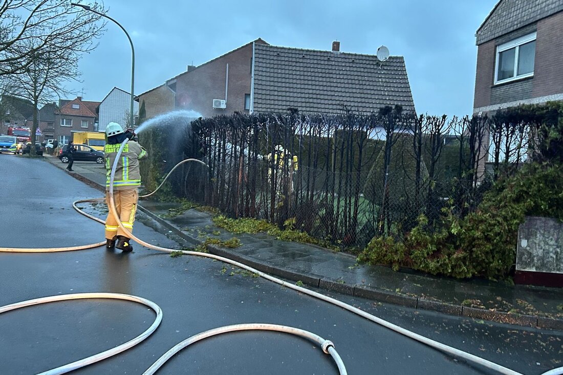 Die Freiwillige Feuerwehr Goch löschte einen Heckenbrand an der Weseler Straße. Ursache unklar, Brandbekämpfung schnell erfolgreich.