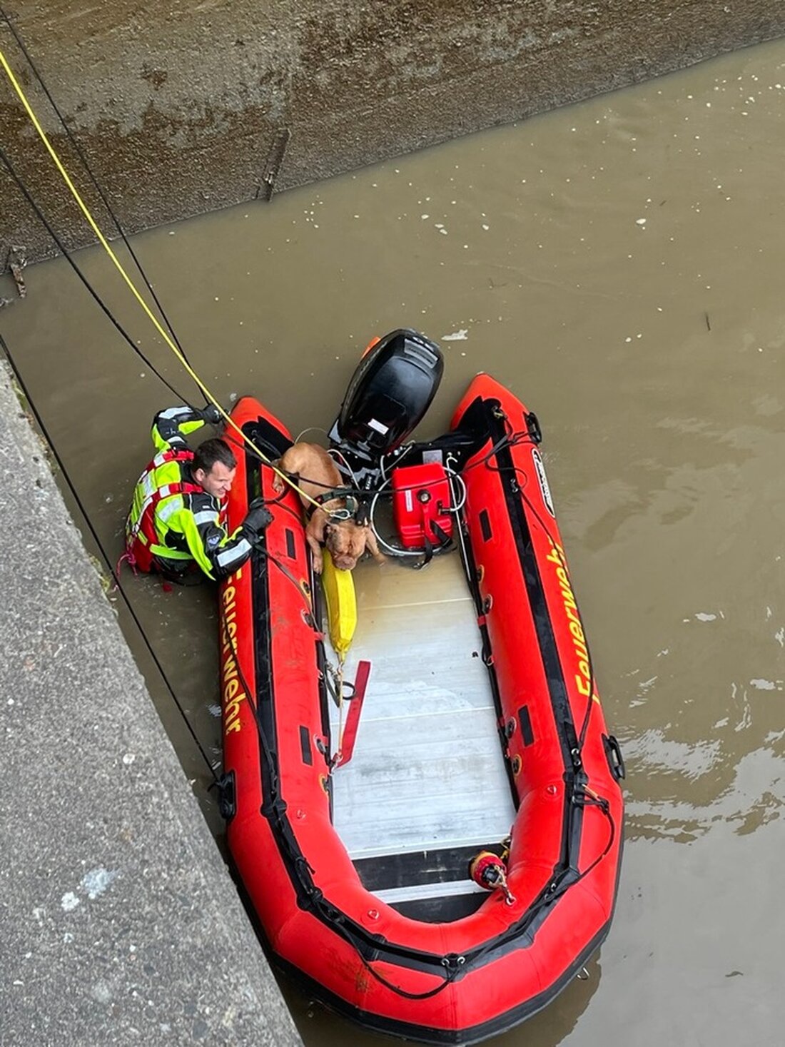 Feuerwehr Bremerhaven rettet Hund aus der Geeste. Dank mutiger Taucheraktion kehrte der Vierbeiner unverletzt zu seinen Besitzern zurück.