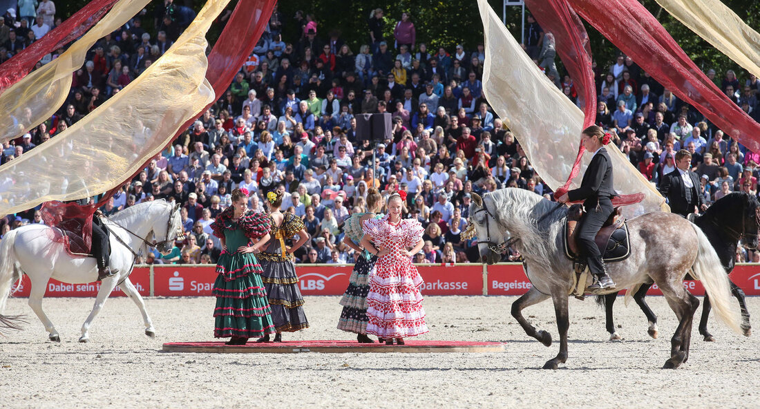 Hengstparade im Haupt- und Landgestüt Marbach: Ein Fest der Pferdezucht und Kultur Am 6. Oktober 2024 wird das Haupt- und Landgestüt Marbach, Deutschlands ältestes staatliches Gestüt, erneut zum Schauplatz eines beeindruckenden Ereignisses: der jährlichen Hengstparade. Inmitten der malerischen Schwäbischen Alb erwartet die Besucher ein abwechslungsreiches Programm, das sowohl Pferdebegeisterte als auch Familien ansprechen soll. Minister Peter Hauk betont die Bedeutung dieser Veranstaltung als Hommage an die jahrhundertealte Tradition der Pferdezucht in Marbach. In diesem Jahr ist Slowenien als Gastland geladen, um seine landestypischen Pferderassen, darunter die berühmten Lipizzaner und das slowenische Kaltblut, zu präsentieren. Diese internationalen Einblicke fördern den interkulturellen …