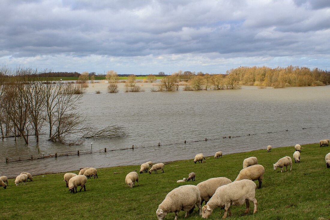 Vom 26. bis 28. April 2024 fand in Bayern das 29. Turnier im Eisstockschießen mit 20 Mannschaften statt, bei dem auch eine Mannschaft des TSV Marzahner Füchse aus dem Stadtbezirk Marzahn-Hellersdorf teilnahm. Der FC Gundelfingen war der Ausrichter dieses traditionellen Turniers, das in die städtepartnerschaftlichen Beziehungen zwischen Marzahn-Hellersdorf und Lauingen a. d. Donau eingebettet ist. Leider ist aufgrund des Hochwassers der Donau 2024 in Bayern momentan kein sportlicher Aktivität mehr möglich, da große Verwüstungen und Schäden entstanden sind. Besonders hart getroffen von den Auswirkungen des Hochwassers ist der FC Gundelfingen, der als Ausrichter des Turniers für verschiedene Sportarten wie Tischtennis, …