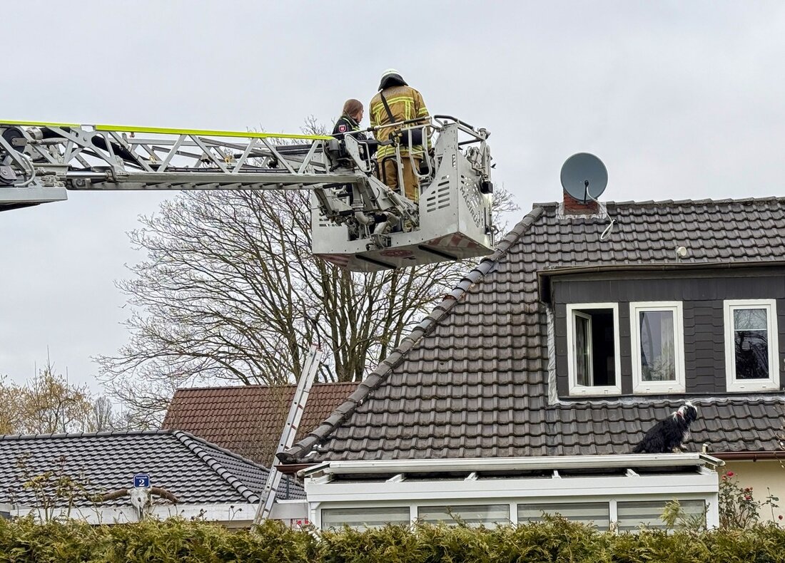 Die Feuerwehr Osterholz-Scharmbeck rettete einen Hund von einem Dach, nachdem dieser durch ein offenes Fenster entkam.