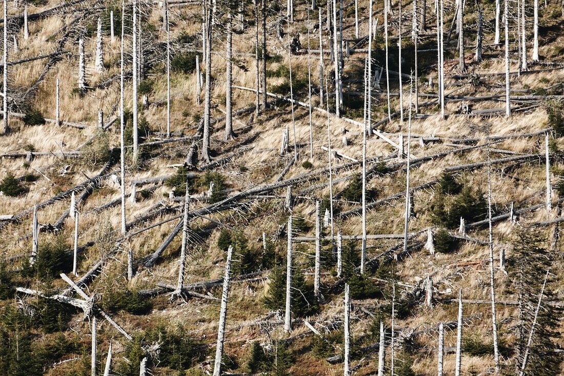 Hurrikan "Helene" fordert mindestens 40 Todesopfer in den USA, hinterlässt Zerstörung und verursacht dramatische Rettungsaktionen.