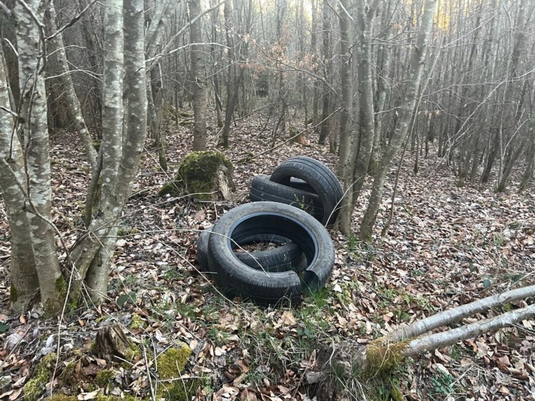 Unbekannter Täter entsorgt Altreifen illegal in Waldstück bei Hoxel. Zeugenhinweise zur Tat zwischen 5. und 6. April erbeten.