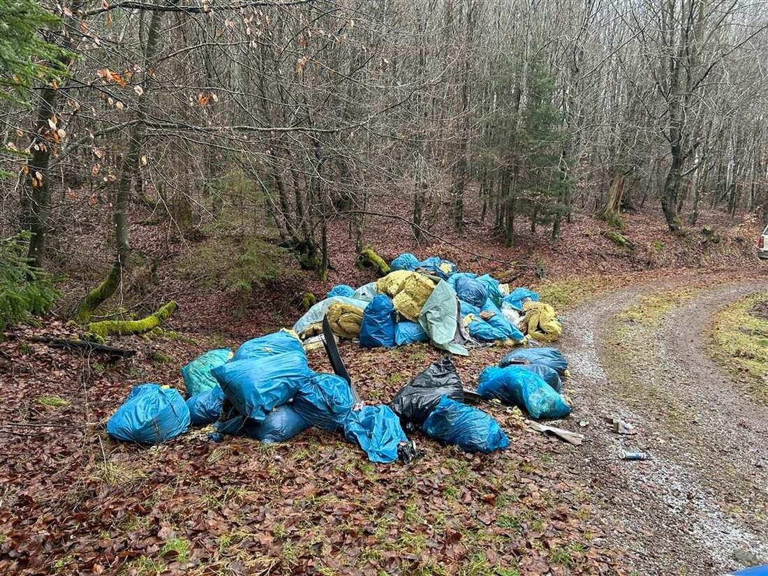 Unbekannte Täter entsorgten illegal 50 Mülltüten mit gefährlichem Abfall im Wald bei Kerschenbach. Polizei sucht Zeugen.