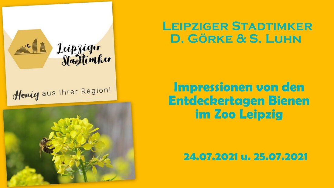 Hallo liebe Bienenfreunde, heute haben wir ein kurzes Video zum Umzug unseres Ablegers in den Leipziger Zoo, sowie ein paar Impressionen aus den Tagen der Bienenentdeckung im Leipziger Zoo. Wir danken allen, die uns am Stand besucht haben und freuen uns schon auf nächstes Jahr. Mit freundlichen Grüßen Website: http://www.leipziger-stadtimker.de/ Facebook: https://www.facebook.com/LeipzigerStadtimker/ Instagram: https://www.instagram.com/leipzigerstadtimker/ Zoo Leipzig: https: / /www.zoo-leipzig.de/ Wildbienenglück: https://wildbienenglueck.de/. Youtube-Link