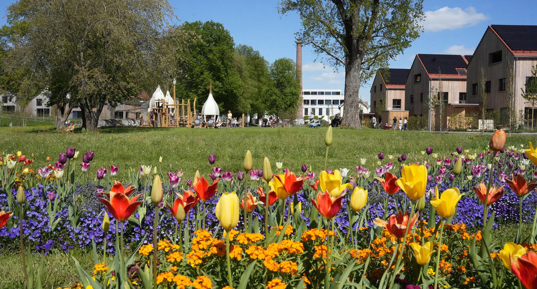 Das Land Baden-Württemberg präsentiert gemeinsam mit Partnerorganisationen auf der Landesgartenschau in Wangen im Treffpunkt Baden-Württemberg verschiedene Ausstellungen zur nachhaltigen und innovativen Mobilität. Die Ausstellung mit dem Titel „Nachhaltige und innovative Mobilität – So bewegen wir ‚THE LÄND‘“ wurde vom Ministerium für Verkehr ins Leben gerufen und soll den Besuchern zeigen, wie eine neue und klimaverträgliche Mobilität Spaß macht und gleichzeitig viele Vorteile für den Einzelnen bringt. Verkehrsstaatssekretärin Elke Zimmer betonte bei der Eröffnung der Ausstellung auf der Landesgartenschau die Bedeutung einer umfassend nachhaltigen Gestaltung der Mobilität, um die Klimaschutzziele zu erreichen. Bis zum 5. Mai 2024 können Besucher des Treffpunkts …