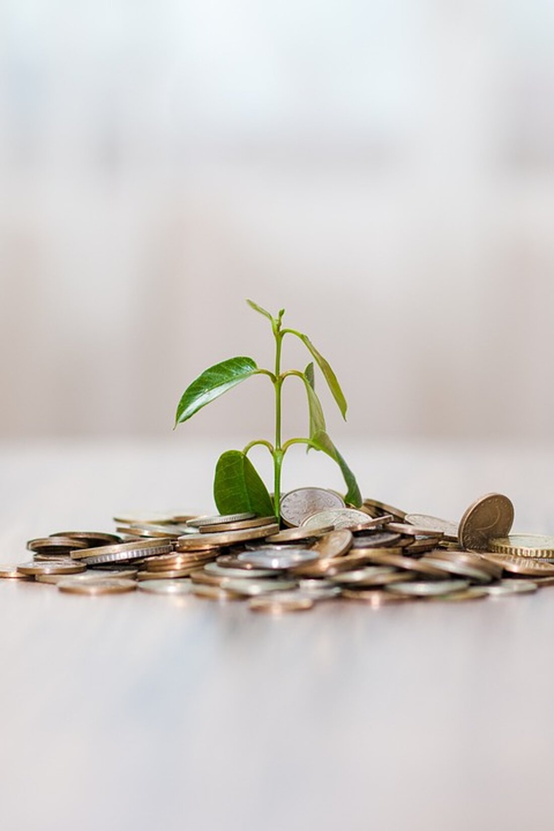 Klimawandel führt zu häufigeren Starkregen in Baden-Württemberg. Grüne fordern Investitionen in Hochwasserschutz zur Schadensvermeidung.