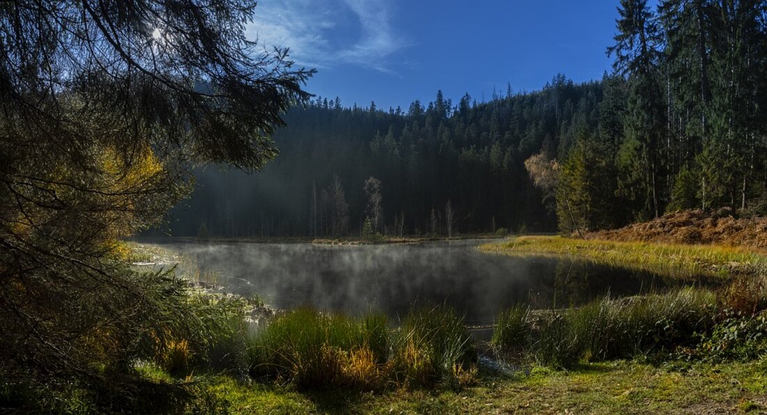 Beteiligen Sie sich am Orts-Check im Schwarzwald-Baar-Kreis bis 22. September: Ihre Meinung zählt und Sie können gewinnen!