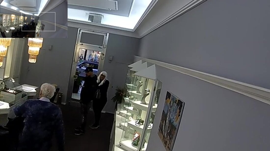 Die Polizei Hamburg fahndet öffentlich nach einer Bande, die im Dezember 2024 hochwertigen Schmuck aus einem Juweliergeschäft gestohlen haben könnte.