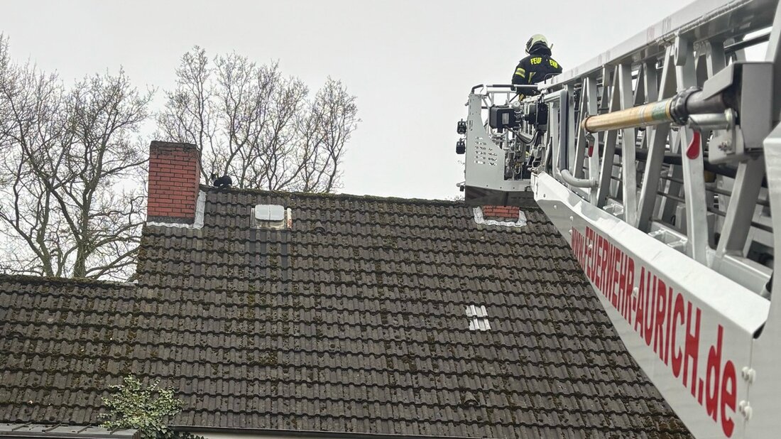 Einsatzkräfte der Feuerwehr Aurich versuchen vergeblich, eine Katze vom Dach zu retten. Anwohner helfen letztlich.